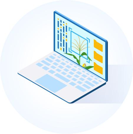 Reports and Dashboards